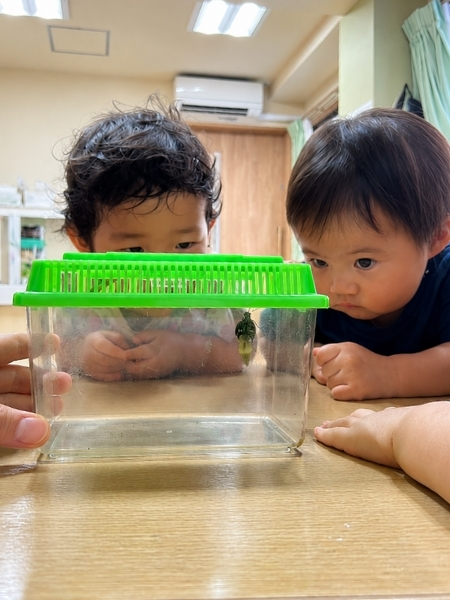 保育理念